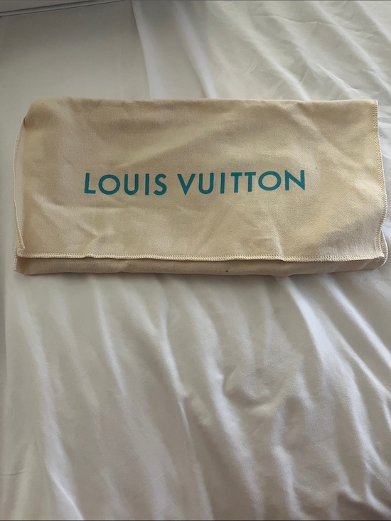 Louis Vuitton Accessories - Louis Vuitton Beige Dust Cover with Teal Lettering